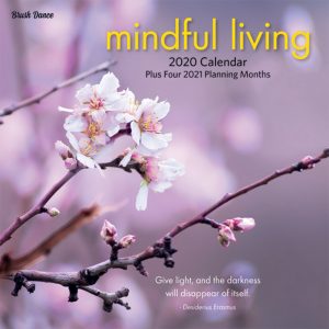 Mindful Living 2020 7 x 7 Inch Monthly Mini Wall Calendar by Brush Dance, Art Quotes Photography Inspiration