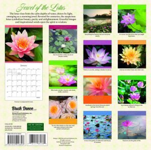 Jewel of the Lotus 2020 12 x 12 Inch Monthly Square Wall Calendar by Brush Dance, Photography Quotations Flowers Floral