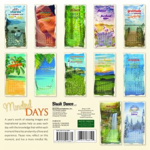 Mindful Days 2020 12 x 12 Inch Monthly Square Wall Calendar by Brush Dance, Art Paintings Inspirational Quotes