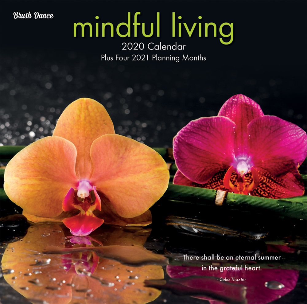 Mindful Living 2020 12 x 12 Inch Monthly Square Wall Calendar by Brush Dance, Art Quotes Photography Inspiration