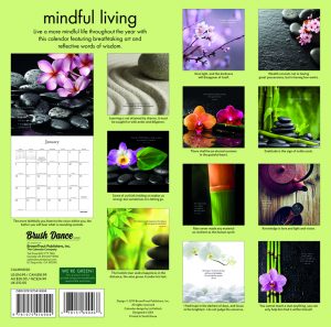 Mindful Living 2020 12 x 12 Inch Monthly Square Wall Calendar by Brush Dance, Art Quotes Photography Inspiration