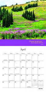 Pathways 2020 12 x 12 Inch Monthly Square Wall Calendar by Brush Dance, Photography Journey Scenic Nature