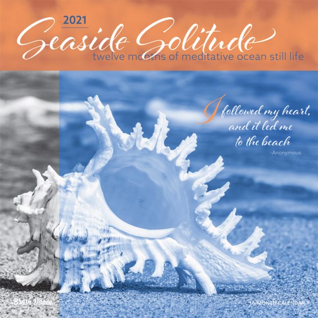 Seaside Solitude 2021 12 x 12 Inch Monthly Square Wall Calendar by Brush Dance, Nature Inspiration Seashore