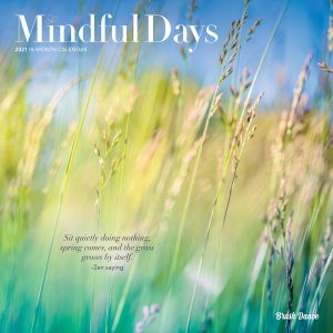 Mindful Days 2021 12 x 12 Inch Monthly Square Wall Calendar by Brush Dance, Art Paintings Inspirational Quotes