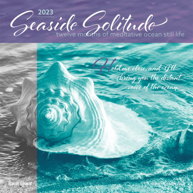 Seaside Solitude | 2023 12 x 24 Inch Monthly Square Wall Calendar | Brush Dance | Nature Inspiration Seashore