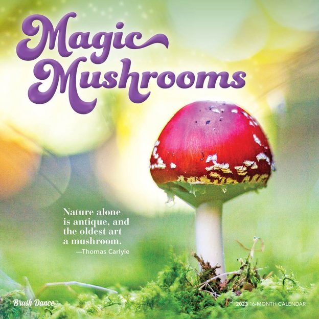 Magic Mushrooms | 2023 12 x 24 Inch Monthly Square Wall Calendar | Brush Dance | Fungus Mushroom Microorganism
