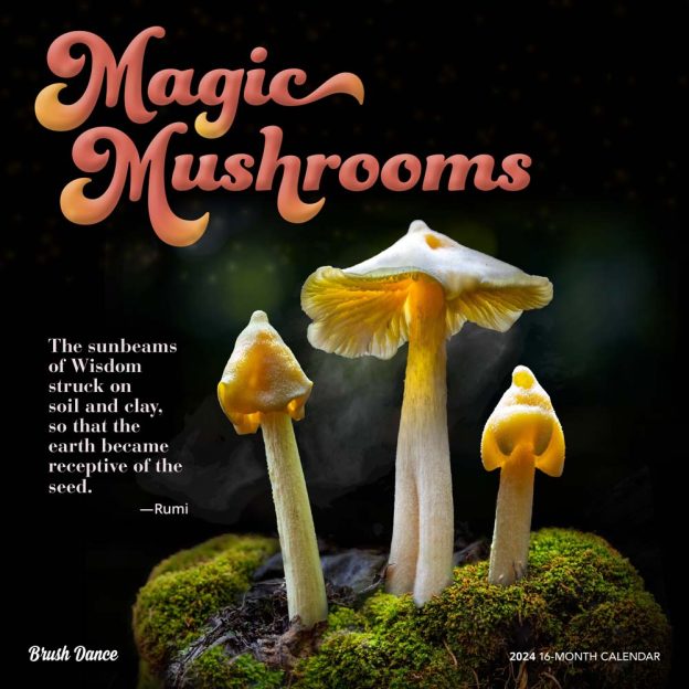 Magic Mushrooms | 2024 12 x 24 Inch Monthly Square Wall Calendar | Brush Dance | Fungus Fungi Microorganism