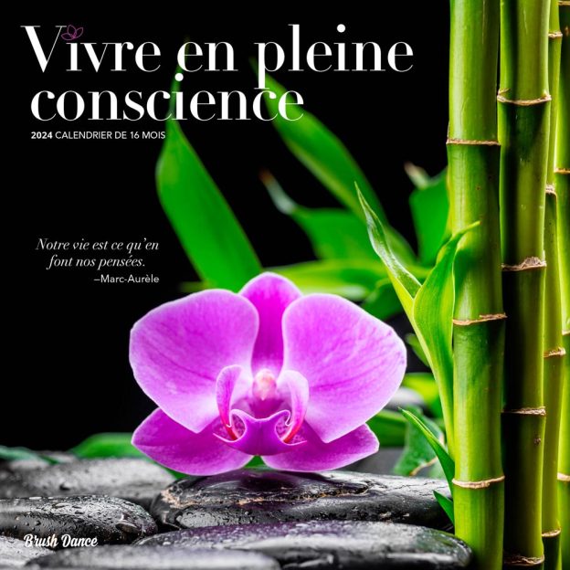 Vivre en Pleine Conscience | 2024 12 x 24 Inch Monthly Square Wall Calendar | French Language | Brush Dance | Art Quotes Photography Inspiration