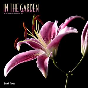 In the Garden | 2025 12 x 24 Inch Monthly Square Wall Calendar | Plastic-Free | Brush Dance | Flowers Plants Floral Photography