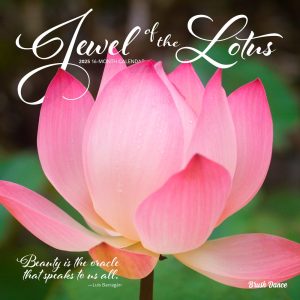 Jewel of the Lotus | 2025 12 x 24 Inch Monthly Square Wall Calendar | Plastic-Free | Brush Dance | Photography Quotations Flowers Floral