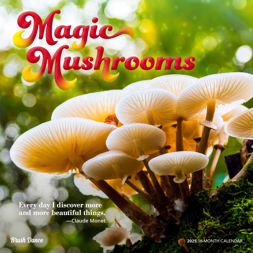 Magic Mushrooms | 2025 12 x 24 Inch Monthly Square Wall Calendar | Plastic-Free | Brush Dance | Fungus Fungi Microorganism