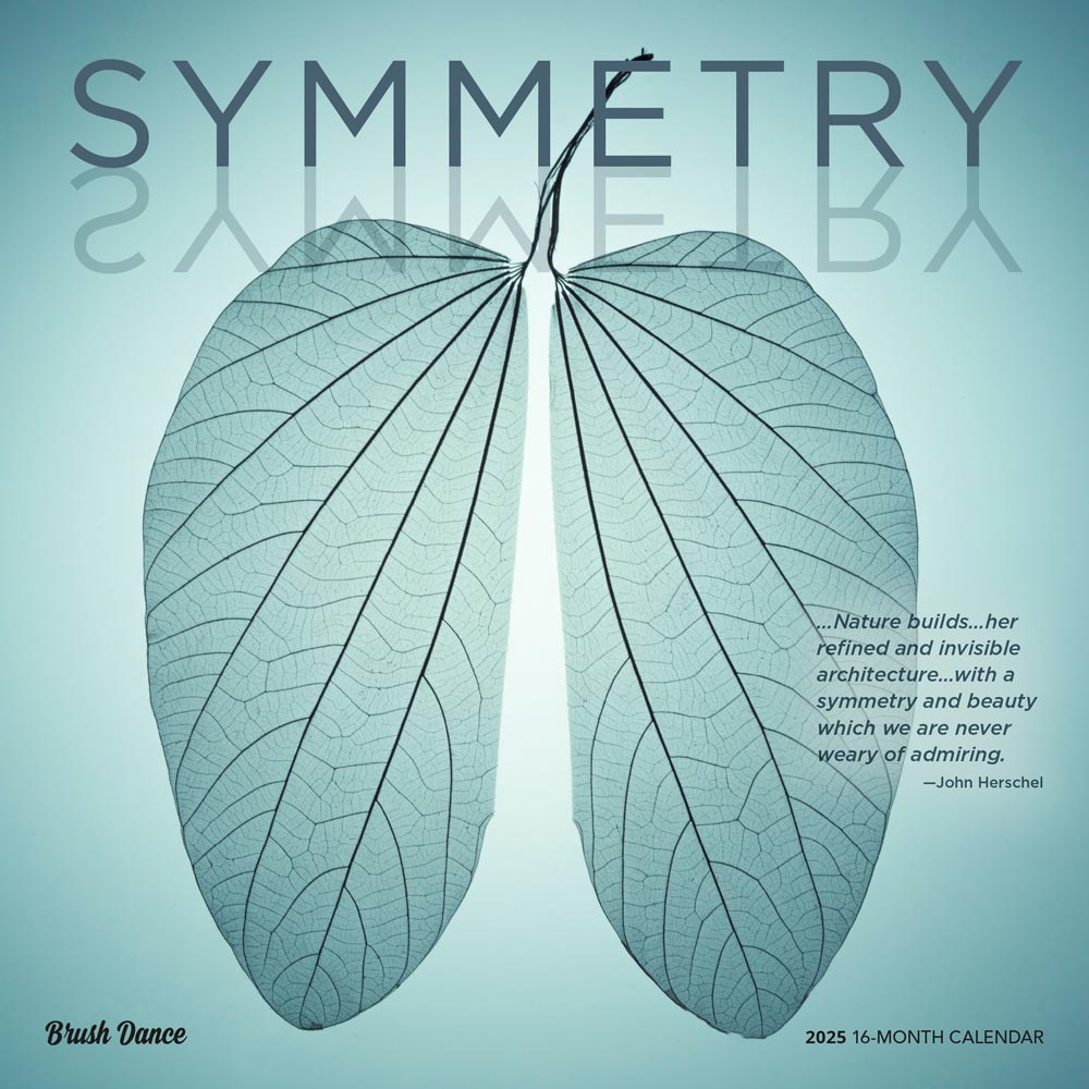 Symmetry | 2025 12 x 24 Inch Monthly Square Wall Calendar | Plastic-Free | Brush Dance | Inspiration Motivation