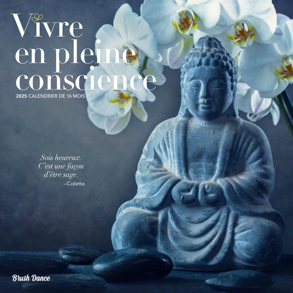 Vivre en Pleine Conscience | 2025 12 x 24 Inch Monthly Square Wall Calendar | French Language | Brush Dance | Art Quotes Photography Inspiration